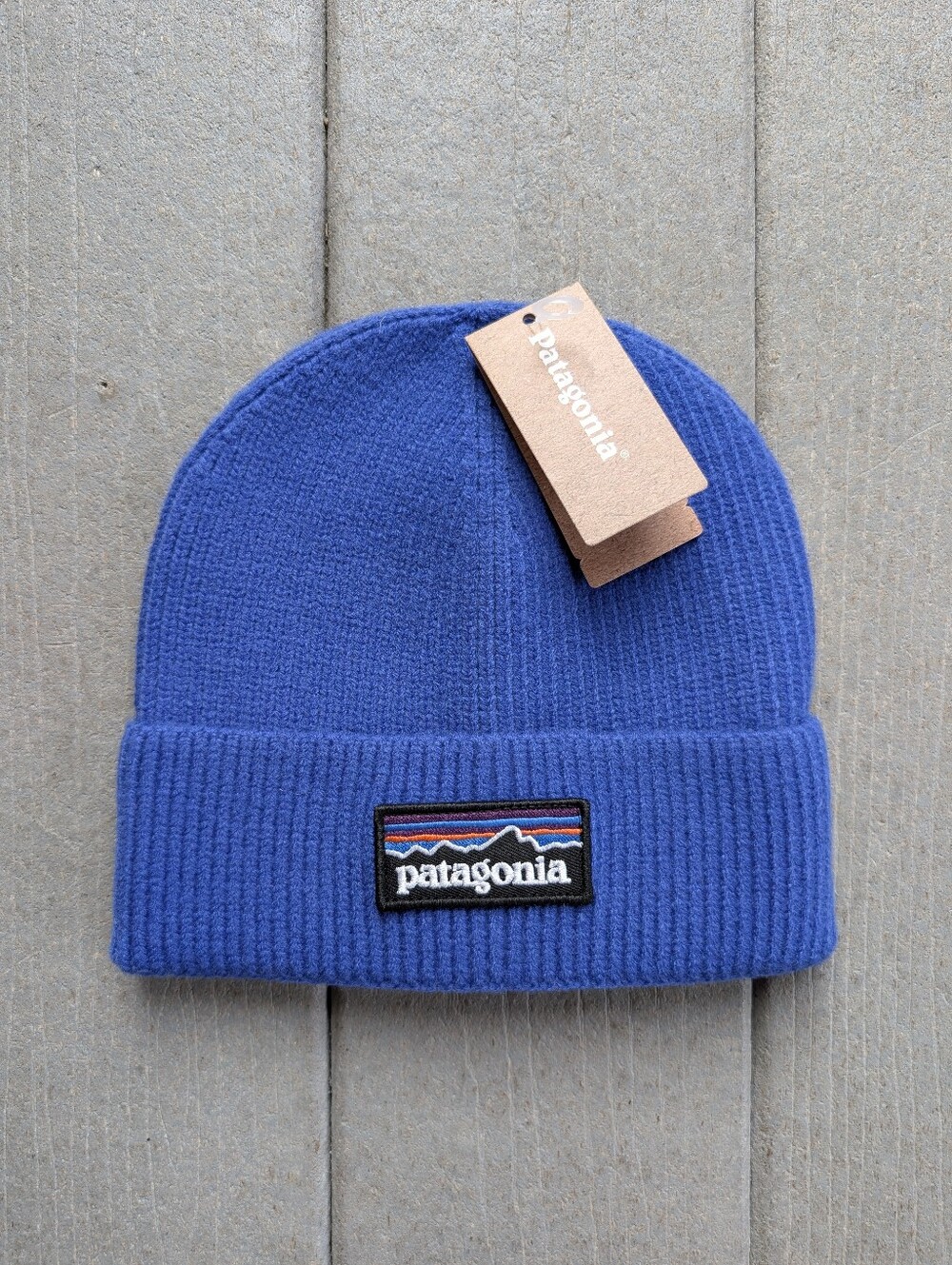Patagonia Beanie Blue